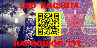 гидропоника Камышлов