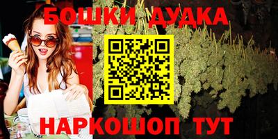 гидропоника Камышлов