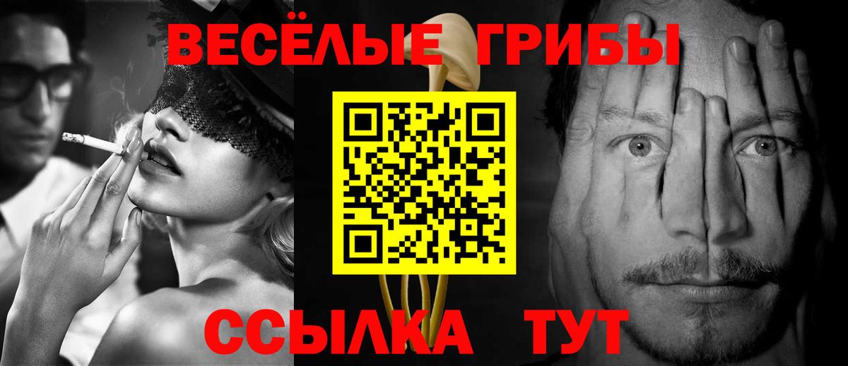 Псилоцибиновые грибы Psilocybe Красный Сулин